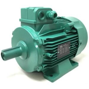 MOTOR, INDUCTION ELECTRIC, VERSATILE THREE-PHASE