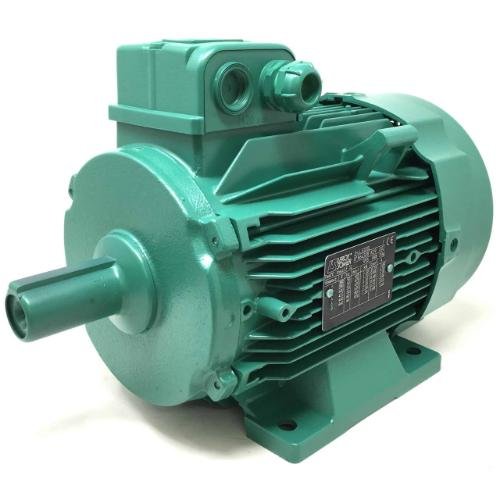 MOTOR, INDUCTION ELECTRIC, VERSATILE THREE-PHASE