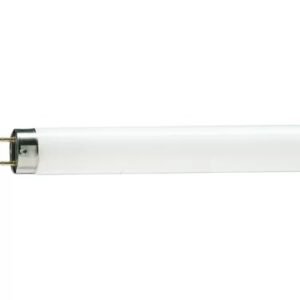 LAMP, FLUORESCENT, T8, G13, COOL WHITE, 36W