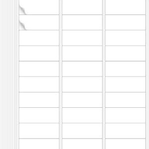 LABEL, LASER/INKJET PRINTER, WHITE, 1 X 2-5/8 INCHES