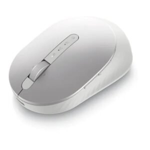 MOUSE,