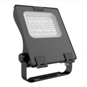 FLOODLIGHT, ELECTRIC, LED, 100W, ALUMINIUM ALLOY,