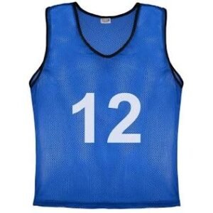JERSEY, PINNIES, MEN?S, BASEBALL, POLYESTER MESH, NUMBERED, BLUE, LARGE