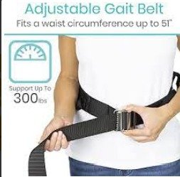 TRANSFER BELT, IMAGE