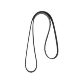 BELT, SERPENTINE
