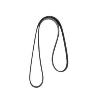 BELT, SERPENTINE