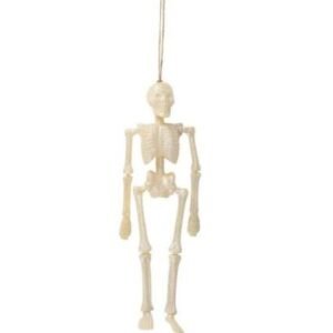 DECORATION, HALLOWEEN, SKELETON