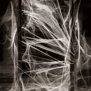 DECORATION, SPIDER WEB, FLEXIBLE ROPE, 800 SQUARE FEET, MANUFACTURER: HALLOWEEN COSTUMES,