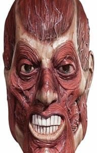 MASK, SKINNER FULL FACE, LATEX,