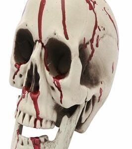 DECORATION, SKULL, HALLOWEEN, BLOODY RESIN, 5 X 7 INCHES