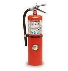 EXTINGUISHER, FIRE, DRY CHEMICAL, w/ BRASS VALVE, 10 LBS, MANUFACTURER: BUCKEYE FIRE EQUIPMENT,